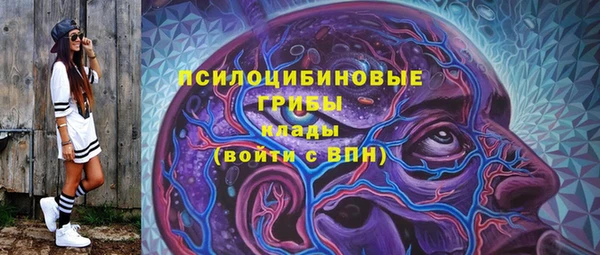 тгк Армянск