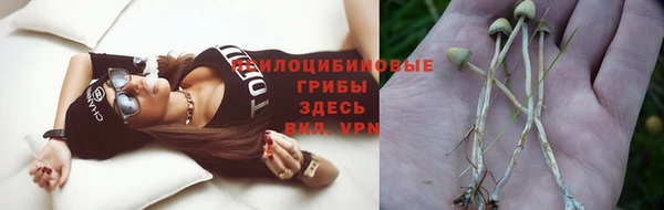 тгк Армянск