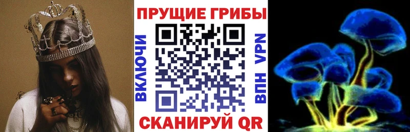 Псилоцибиновые грибы Cubensis что такое наркотик Красный Кут